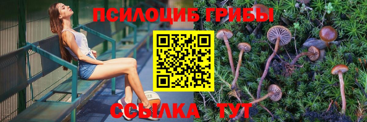 Прохладный  Псилоцибиновые грибы ЛСД  Вход с VPN  Галлюциногенные грибы Magic Shrooms 