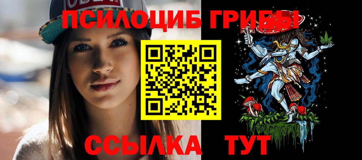 Галлюциногенные грибы мицелий Прохладный