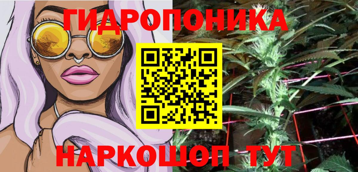 Прохладный  Каннабис SATIVA & INDICA  Конопля марихуана  Шишки марихуана THC 21%  Вход с VPN 